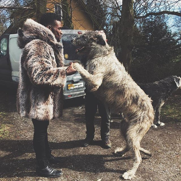 man holding dogs paws in hands while wearing faux fur coat