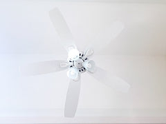 white house ceiling fan on ceiling