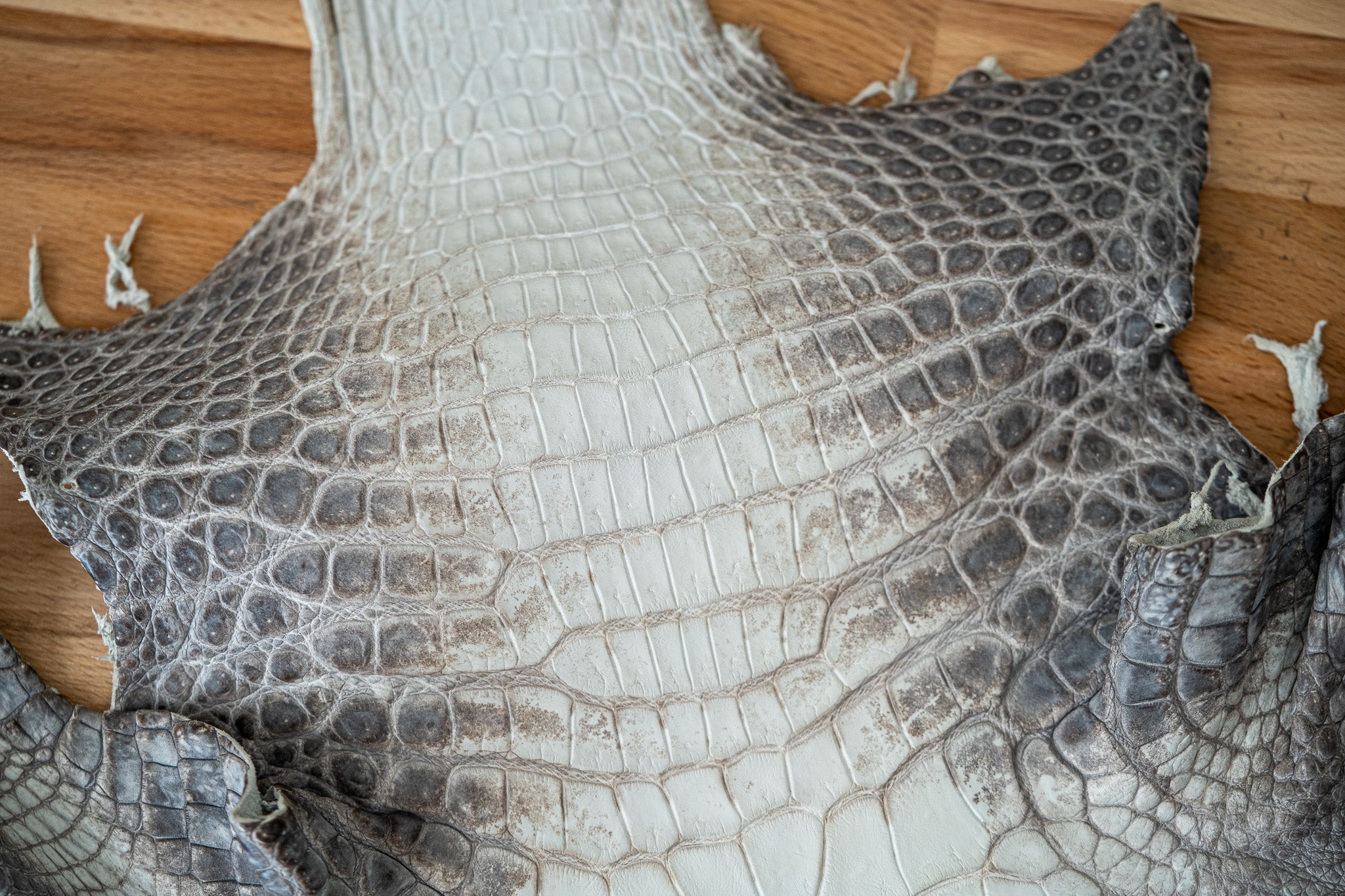 Himalaya Crocodile Genuine Niloticus Crocodile Skin used by artisan Nicolas Grinda Atelier Grinda Made in Monaco Luxury Custom Leather Goods