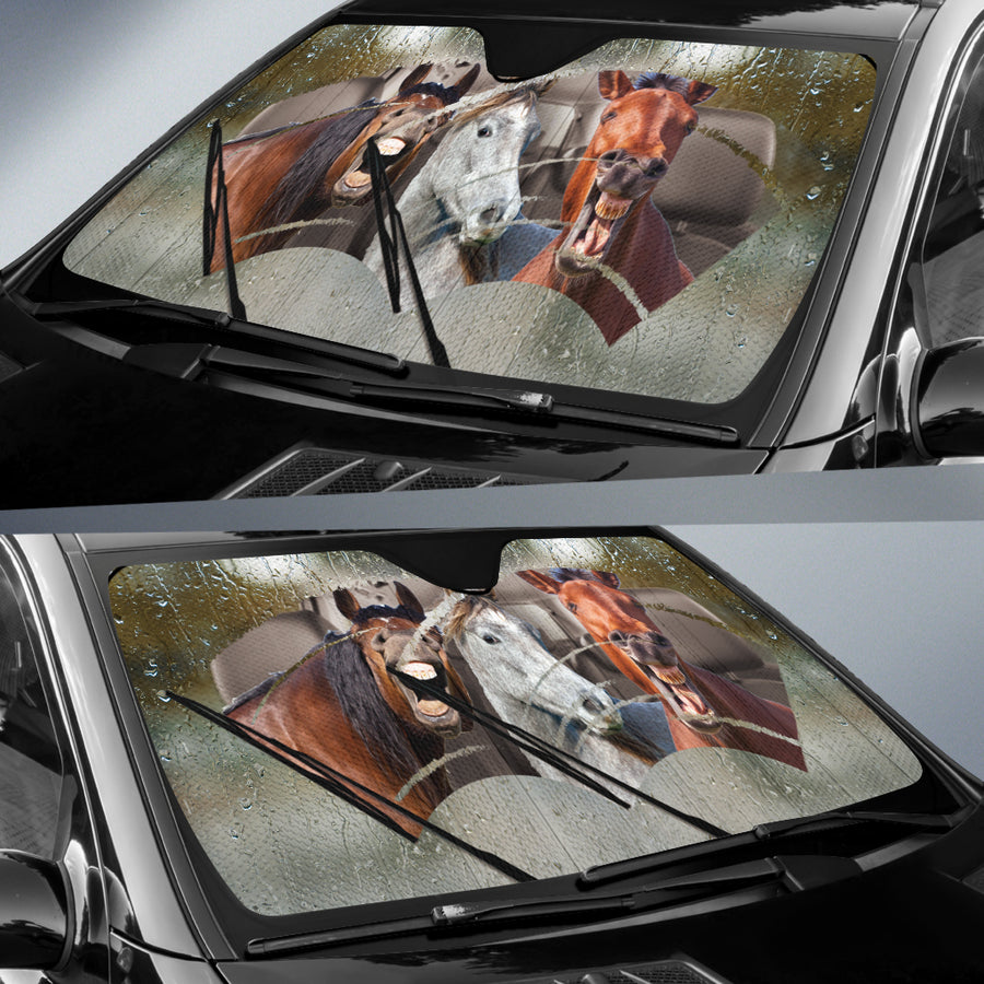 auto sun shades