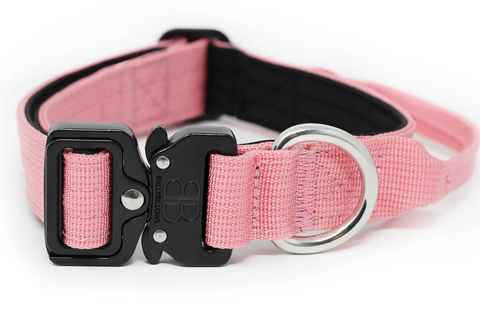 2.5cm Combat® Collar | With Handle & Rated Clip - Pink v2.0