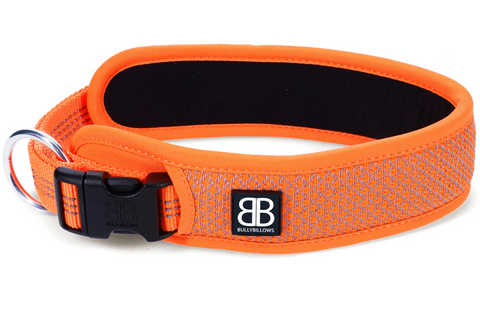 Active Slip N' Clip Collar - Orange