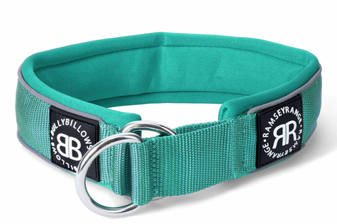 All About Our Blue Dog Collars Blog