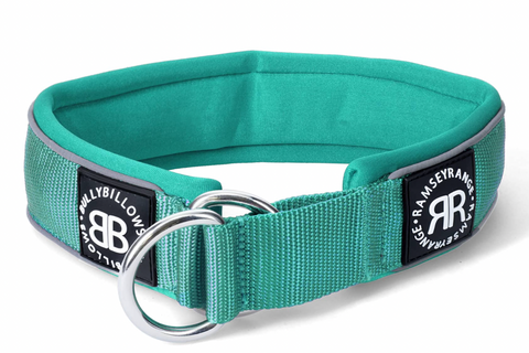 5cm RR Collar | Soft Padded & Reflective | Series 2 - Turquoise