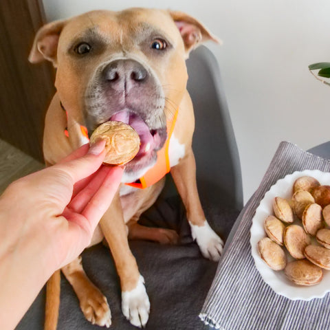 Bailey Baking