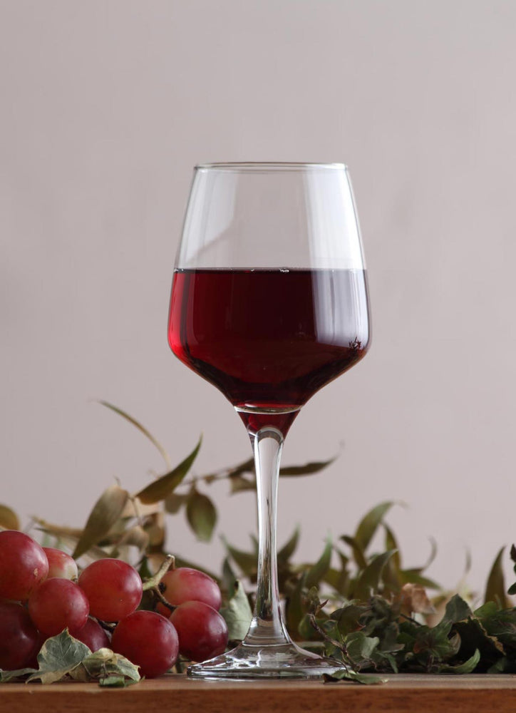 Pantry Red Wine Glasses - Set of 6