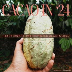 cacao in 2024 by moojo