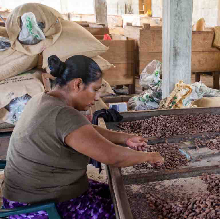 photo-belize-uncommon-cacao.jpg__PID:d1c63640-7ebd-46c8-9581-19e6ea679308