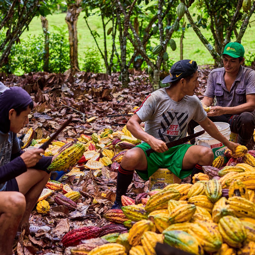 JUANJUÍ Cacao Peru