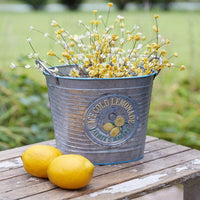 Photo of Ice Cold Lemonade Galvanized Bucket