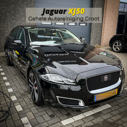 Jaguar XJ50