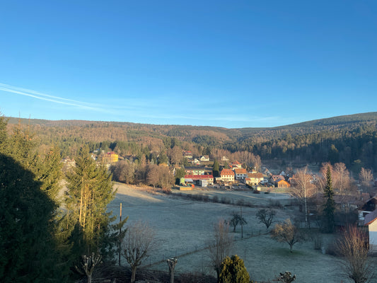 Tales from France 2023 – Adventures in Alsace: pork paradise