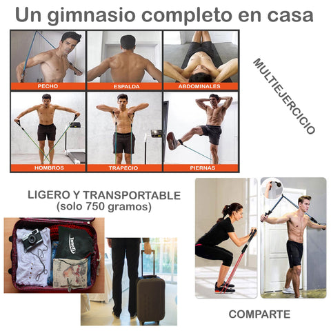 Kit completo de bandas elásticas de musculación con asas - Resistencia  regulable equivalente al peso de 5 a 68kg - Pack de 13 accesorios para bandas  elásticas de musculación Sincero Electrónica