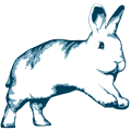 BinkyBunny.com House Rabbit Store