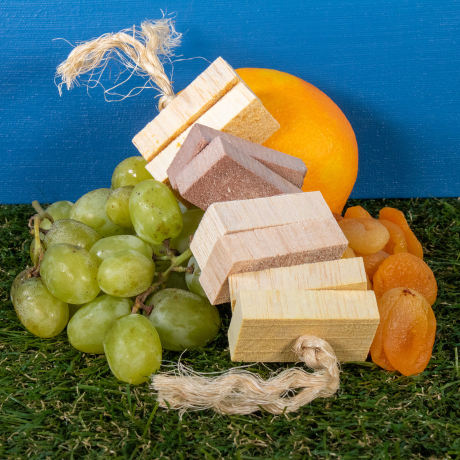 5 of The Original Flavored Balsa Blocks - Fun4Bunnies & Friends