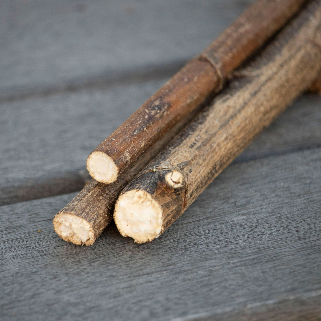 Birch Log Bundles Small - Ballard Designs