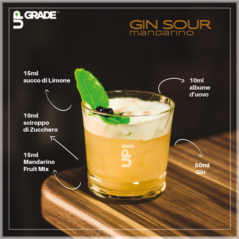 Gin Sour Mandarino Cocktail