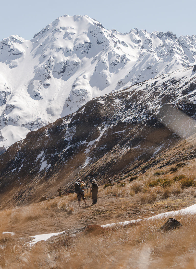 Southern alps of New Zealand