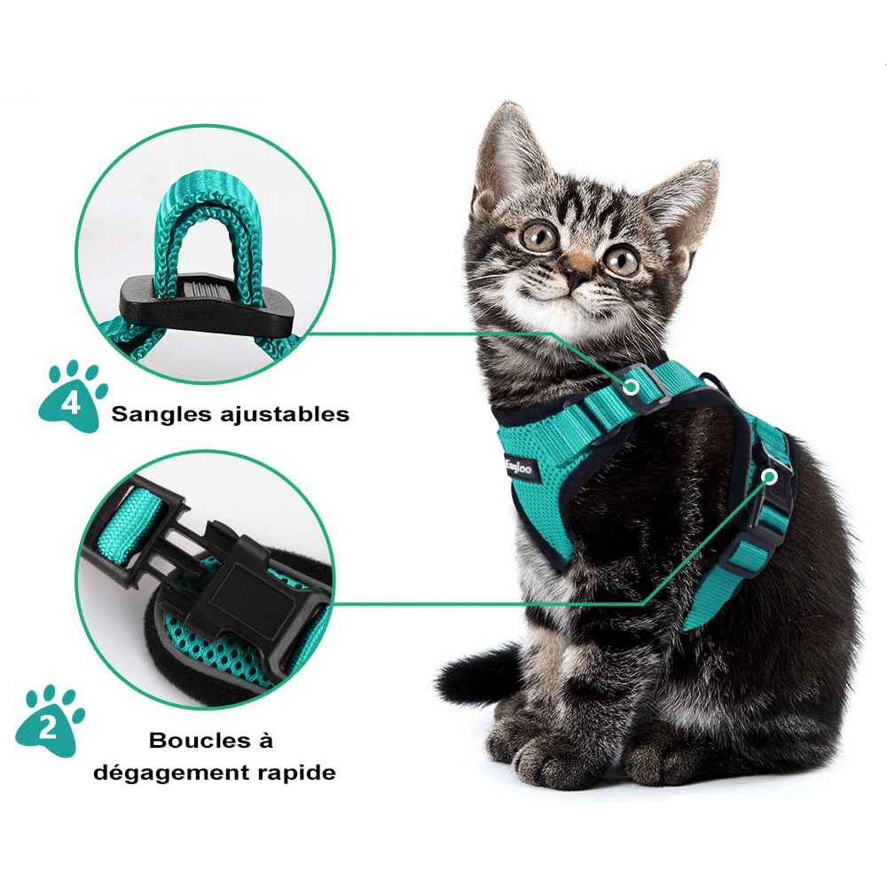 Harnais pour chat renforcé XtraConfort – Au bonheur du chat - Boutique  d'accessoires pour votre chat et pour vous