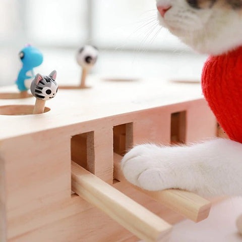 Jouet pour chat, jouet chat, jouet intelligent pour chat, jouet interactif pour chat, jouet animaux de compagnie