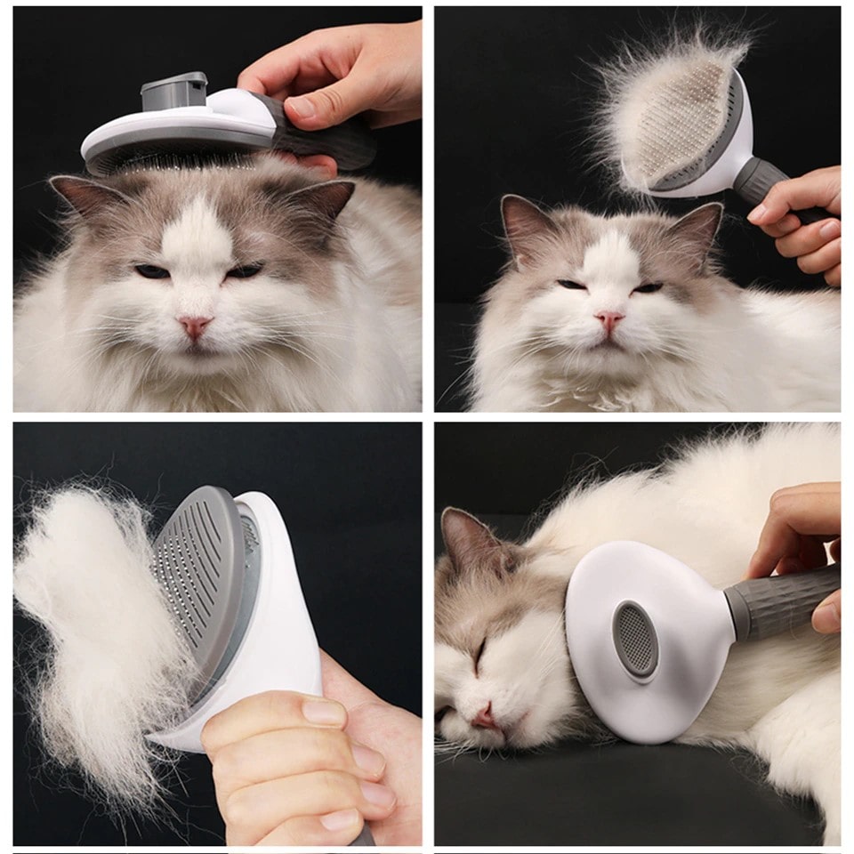 Peigne - déméloir,Peigne à brosse pour chat, jouet d'auto-toilettage,  peigne de Massage avec cataire à chat - Grey[E27112]