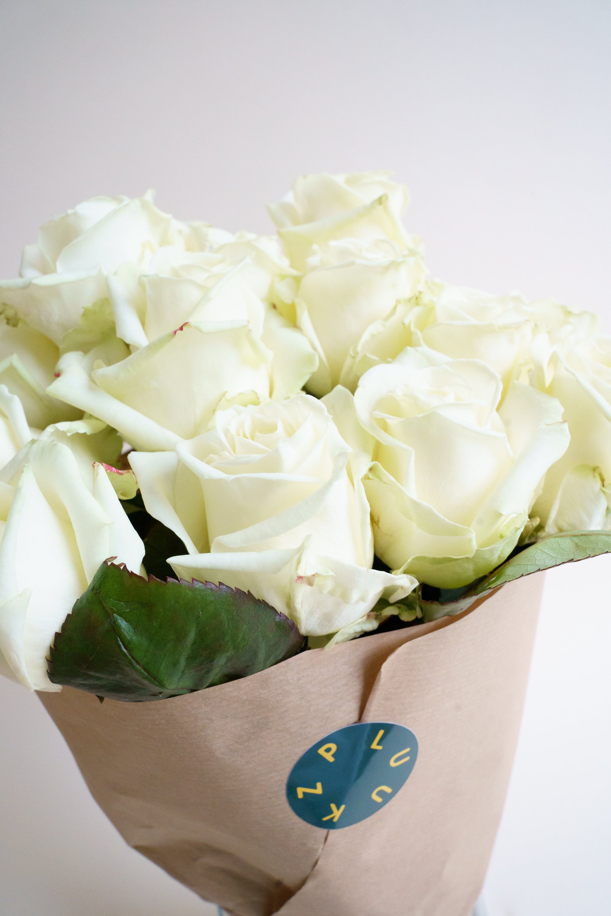 Bevestigen aan Mijnenveld top Witte rozen bestellen? Plukvers & snel bezorgd! - Pluukz