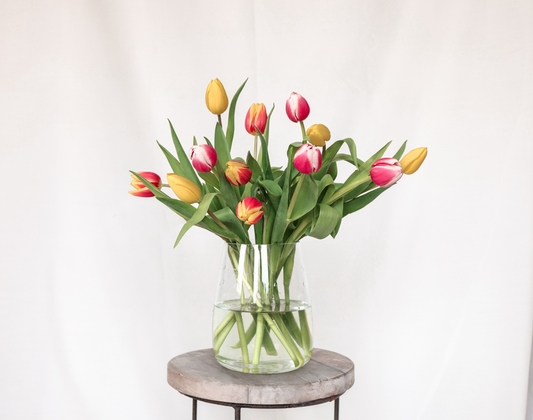 elke keer Diversen Uit Brievenbus bloemen | Als cadeau bezorgd v.a. €9,89! - Pluukz