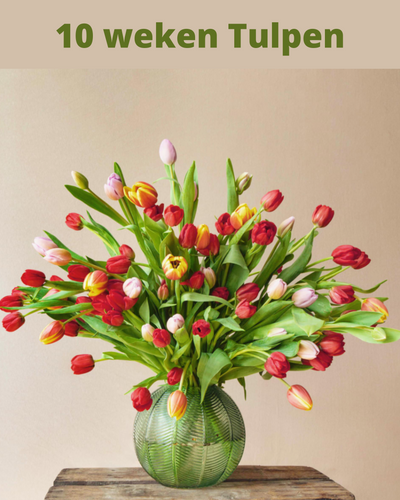 Online bestellen? Wij bezorgen van de in de vaas – Pluukz | online bloemen bestellen