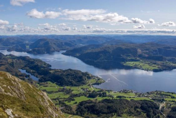 Helle Fabrikker ved Dalsfjorden