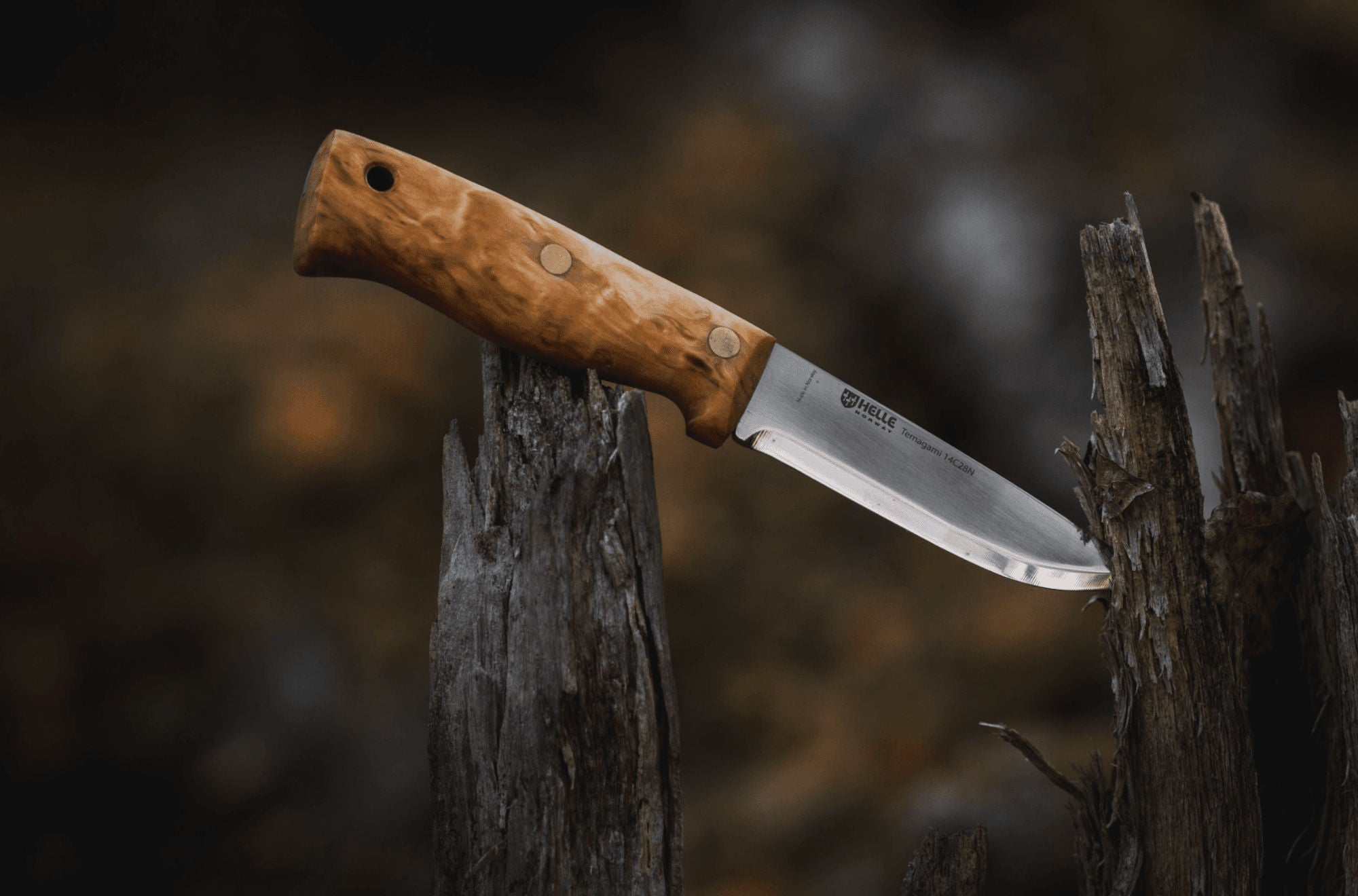 Temagami 14C28N - 10 year collaboration limited edition – Helle Knives