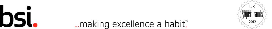 BSI making excellence a habit logo