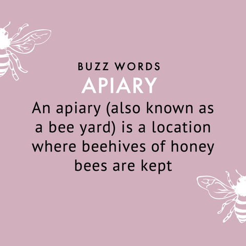 definition of apiary