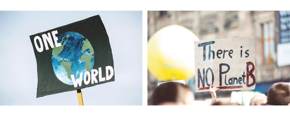 posters from a climate change march 