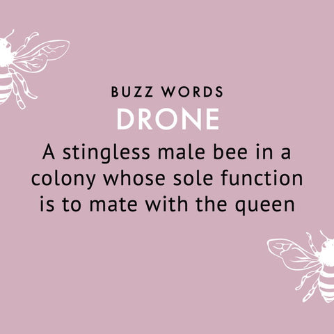 drone definition