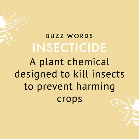 insecticide definition
