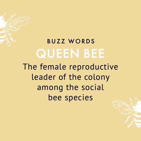 queen bee definition