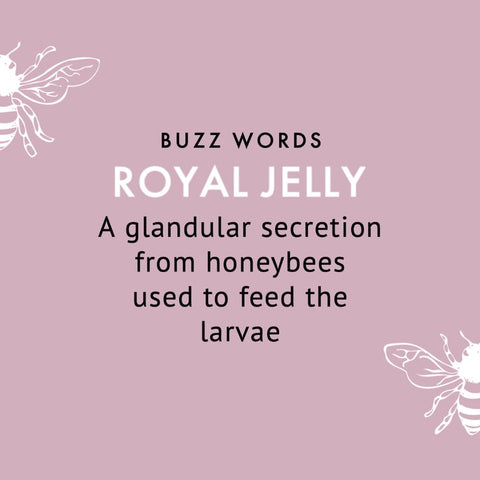 royal jelly definition