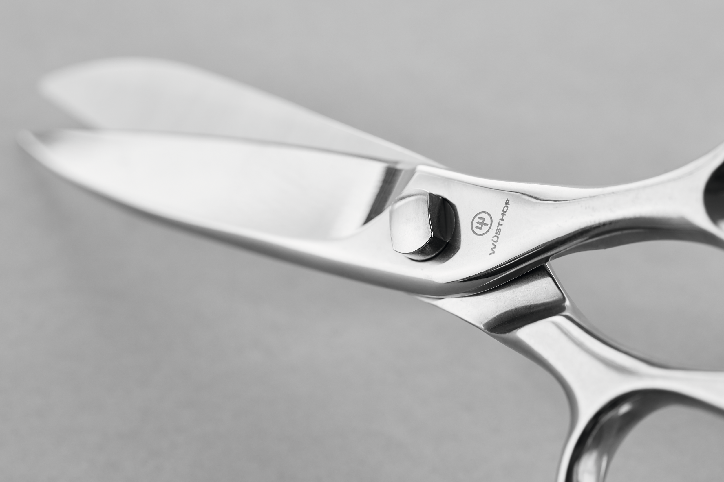 Wusthof Kitchen Shears – The World of Cutlery