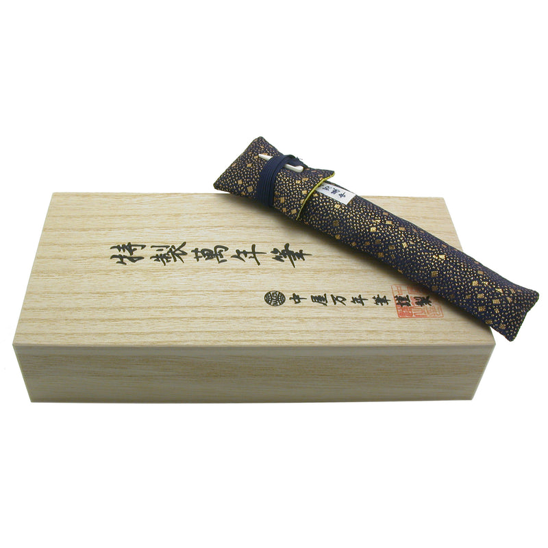 Misschien pakket Subtropisch Nakaya Portable Cigar Milky Way II fountain pen – P.W. Akkerman Den Haag