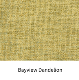 Bayview dandelion