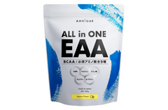 AMBiQUE 「ALL in ONE EAA」