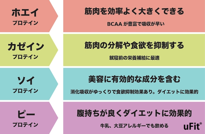 自分に最適なプロテインの選び方　原材料ごとのプロテイン特徴