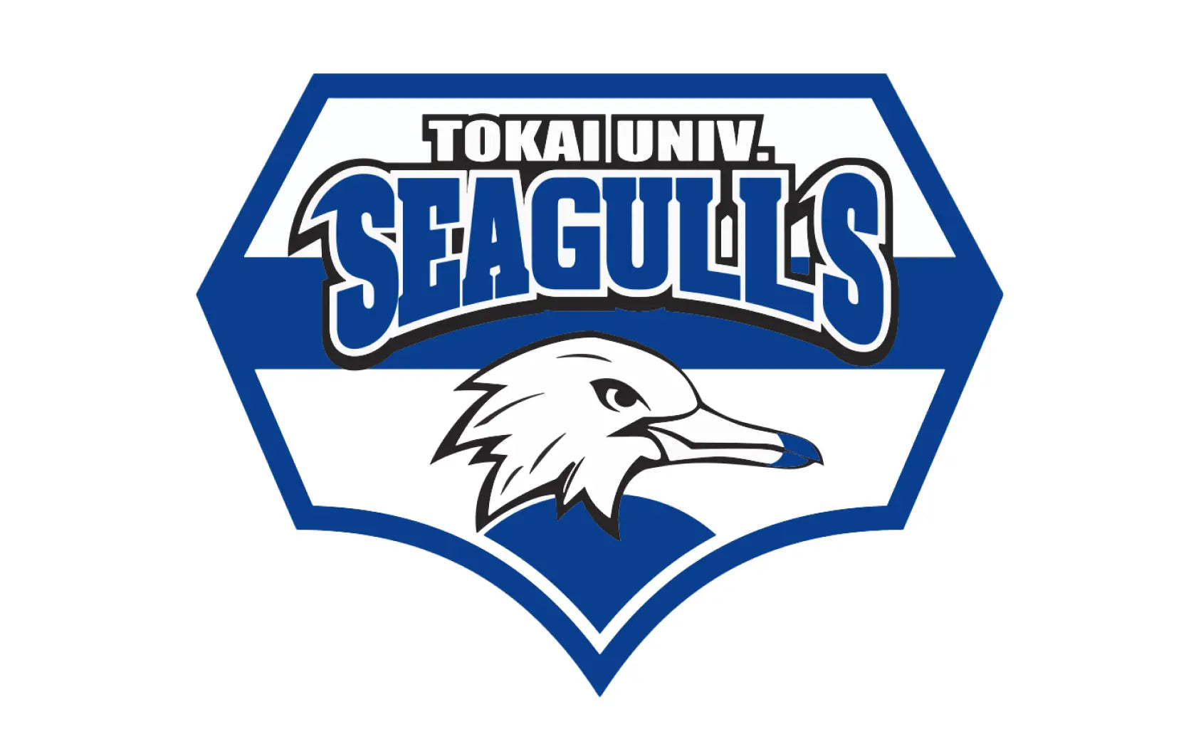 東海大学男子バスケットボール部