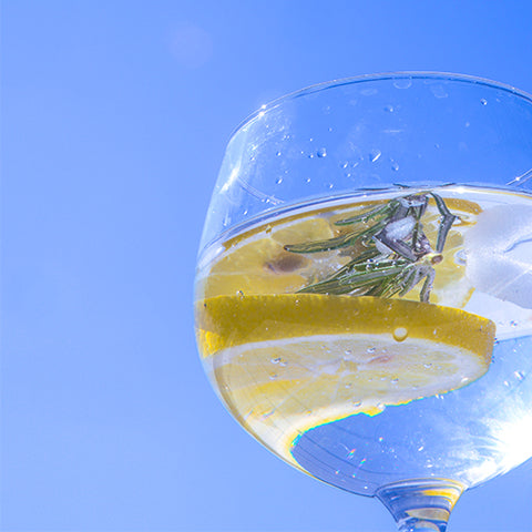 Saint_Amans_Gin_Tonic_Cocktail