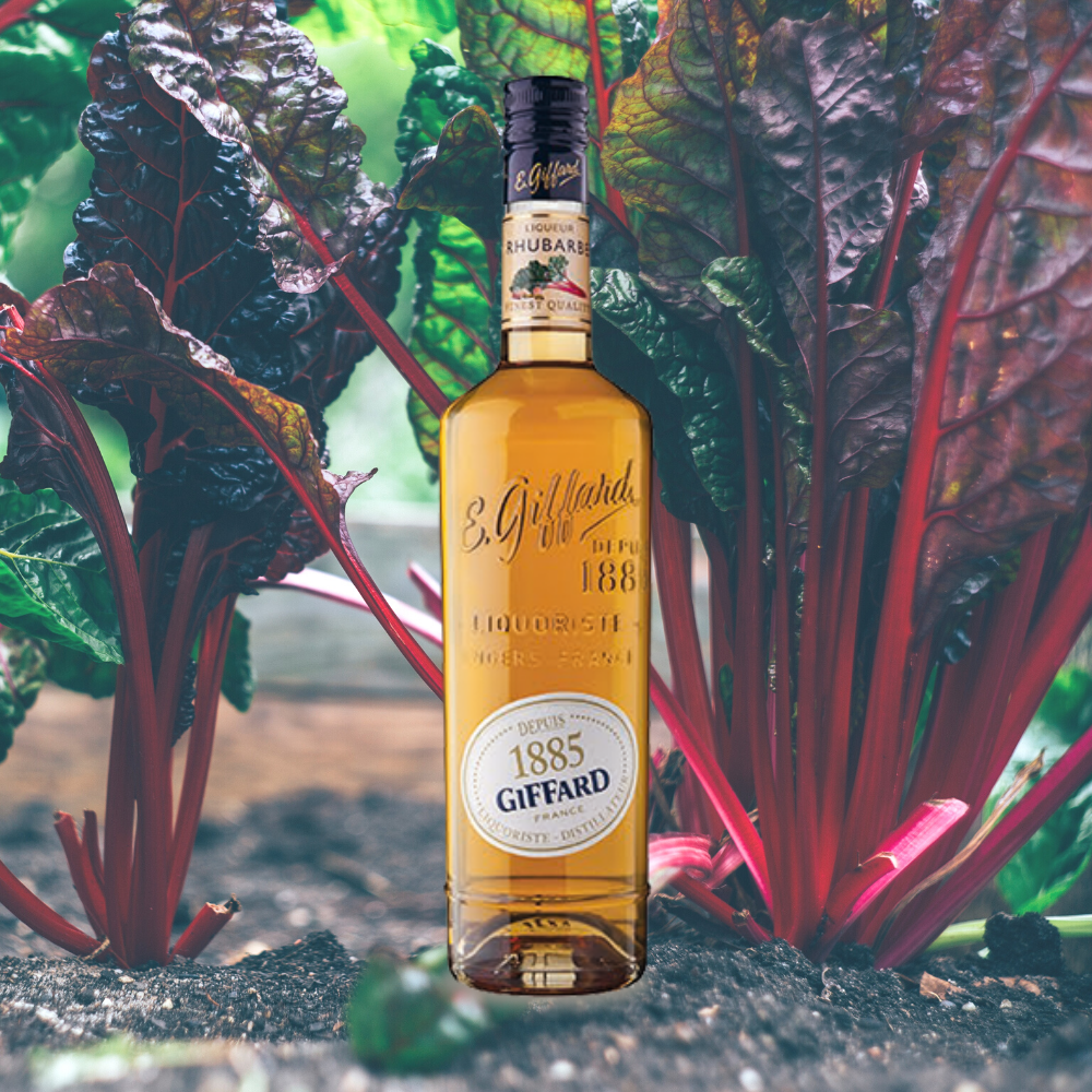 Giffard Liqueur Rhubarb – Destination Beverage