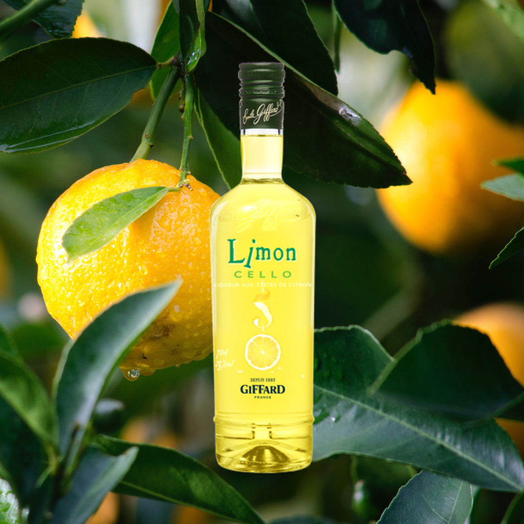 Giffard Liqueur Modern Limoncello – Destination Beverage