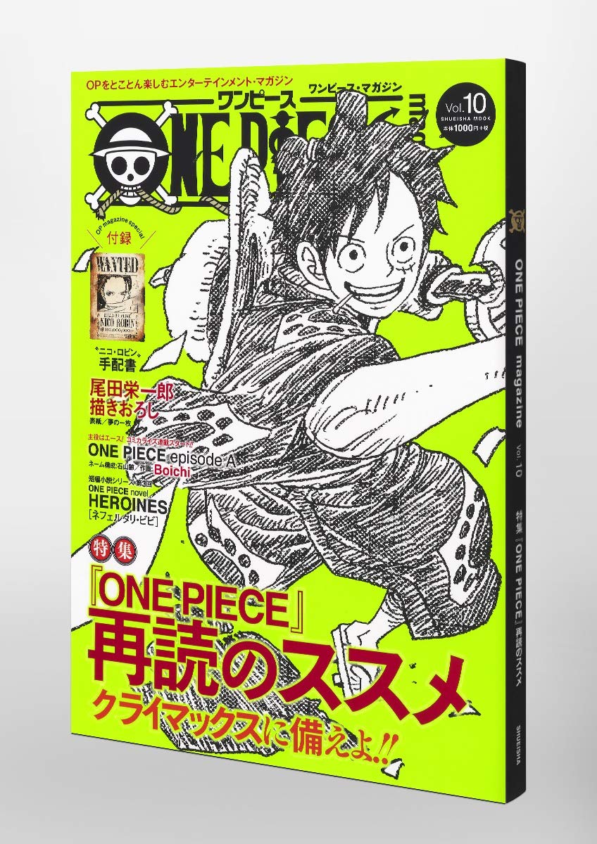 One Piece Magazine Vol 10 Japanese Book Store