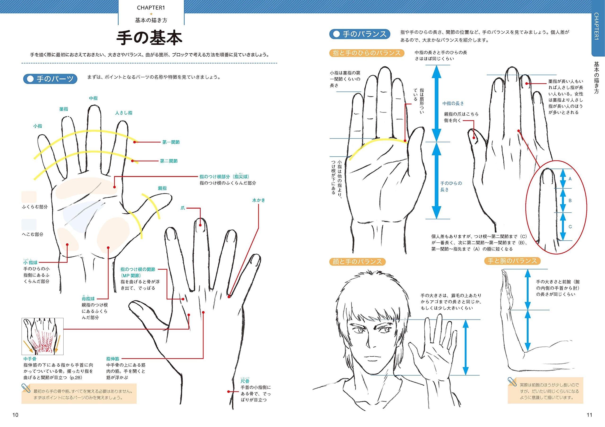 How to Draw Hands Technique Book by Takahiro Kagami Japan Manga Anime ...