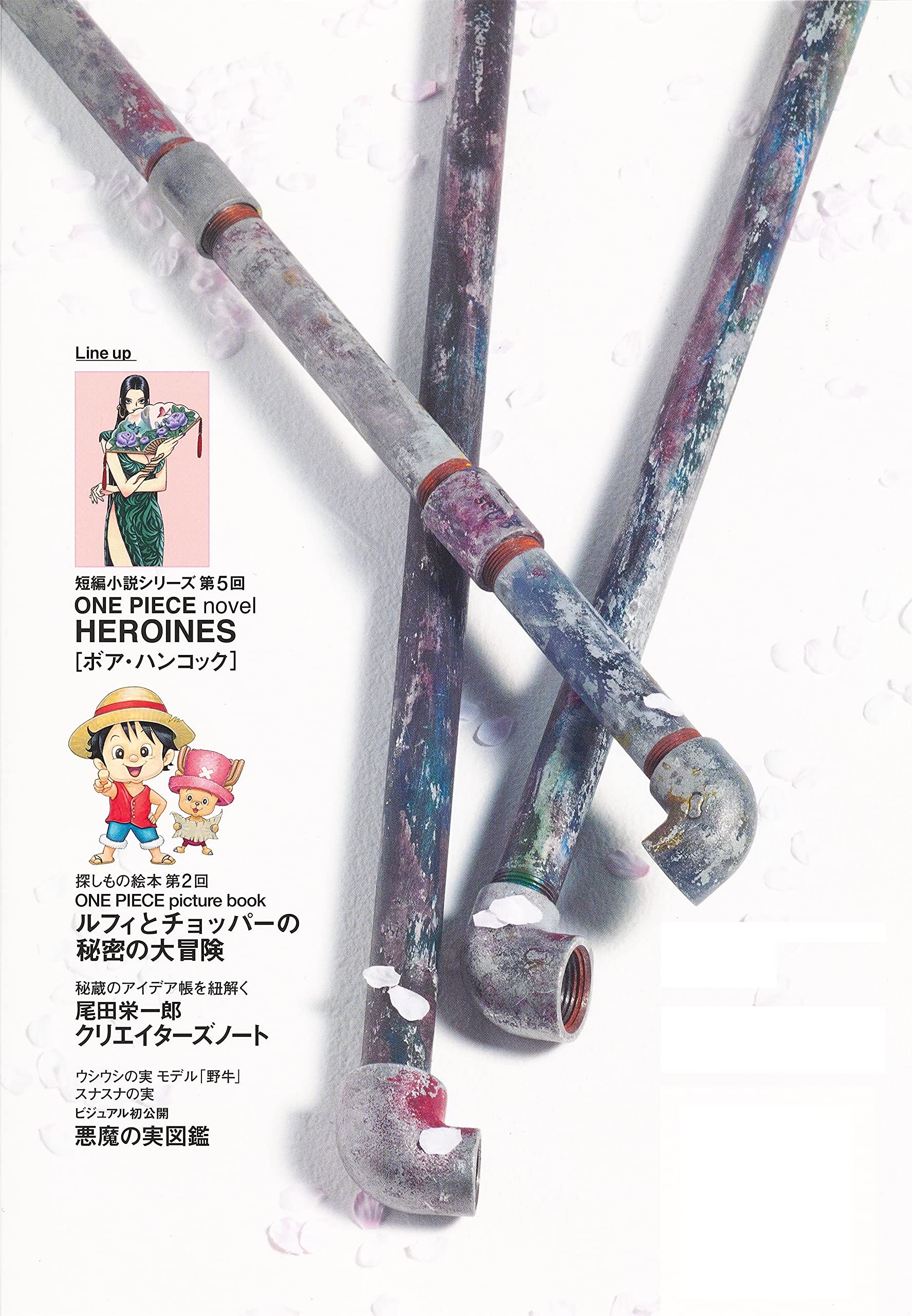 One Piece Magazine Vol 12 Japanese Book Store