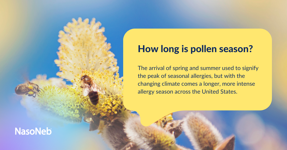 Honey bees pollinate yellow flowering buds at the end of a stem. Text reads: The arrival of spring and summer used to signify the peak of seasonal allergies, but with the changing climate comes a longer, more intense allergy season across the United States.